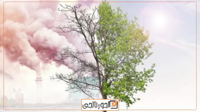 المؤتمر العربى الأفريقى لريادة الأعمال والابتكار