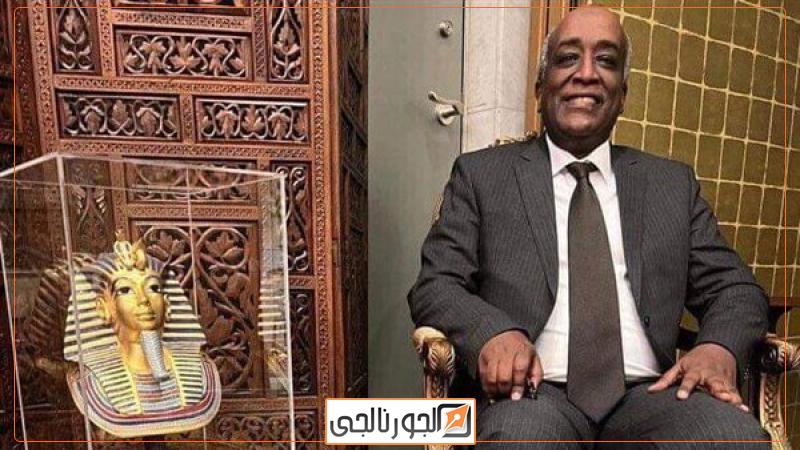 السفير محمد أبوبكر، سفير مصر في طوكيو