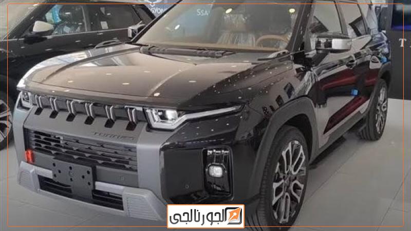 سانج يونج توريس 2024