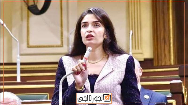 إيرين سعيد، عضو لجنة الصحة بمجلس النواب
