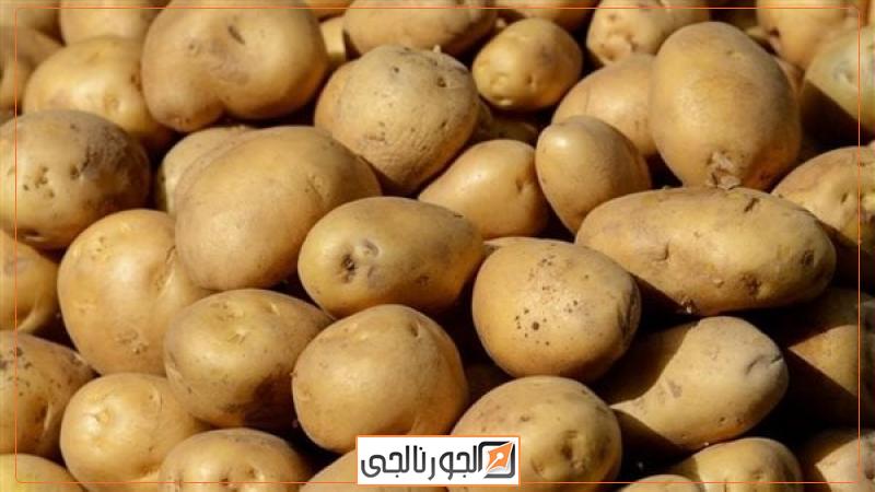 صادرات البطاطس