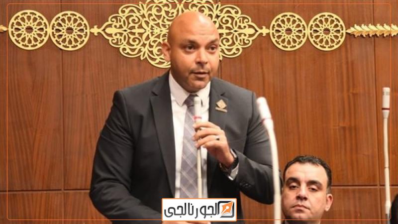 النائب محمود القط