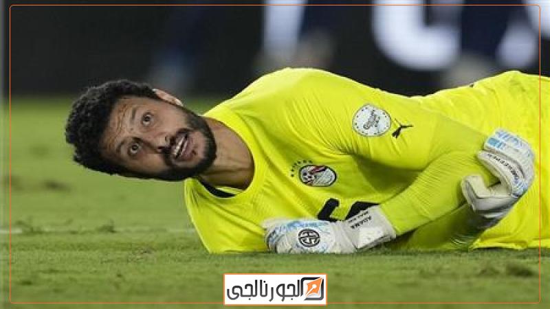 محمد الشناوي