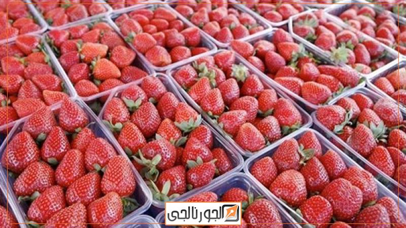 تصدير المحاصيل الزراعية