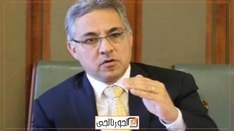 النائب احمد السجيني