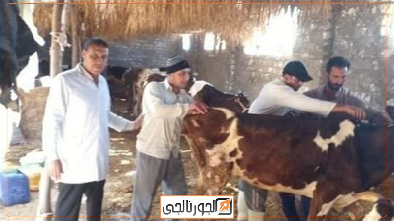 بيطري الشرقية