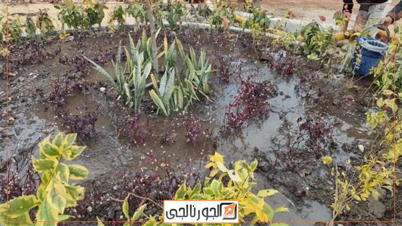 تجهيز الحدائق