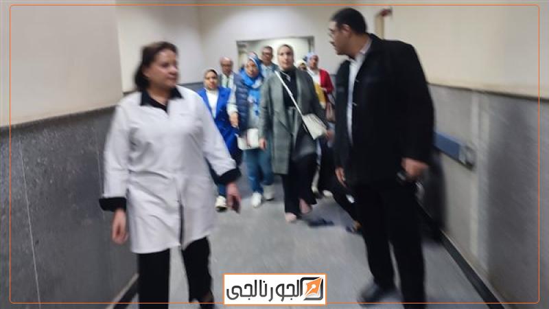وفد لجنة الصحة بمجلس النواب