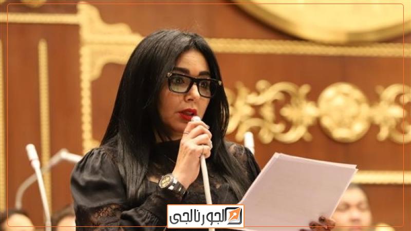 النائبة ريهام عفيفي