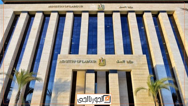 وزارة العمل،فيتو