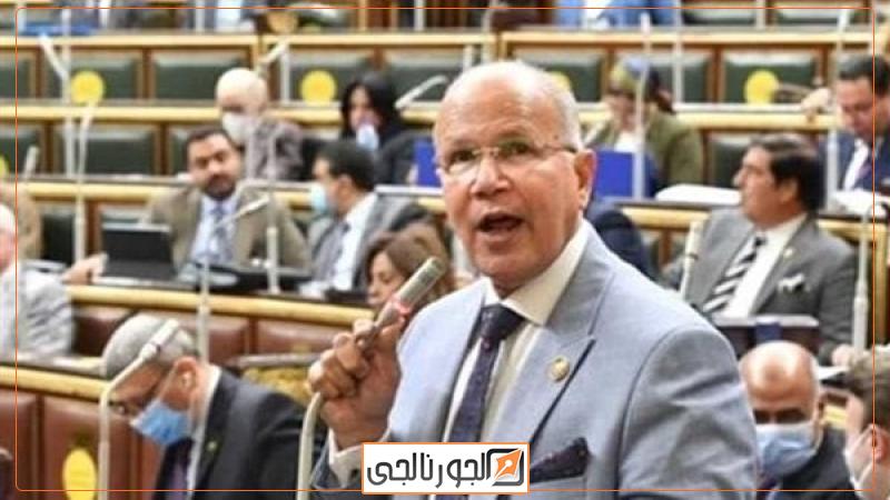 النائب السيد شمس الدين