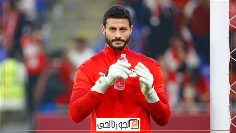 محمد الشناوي