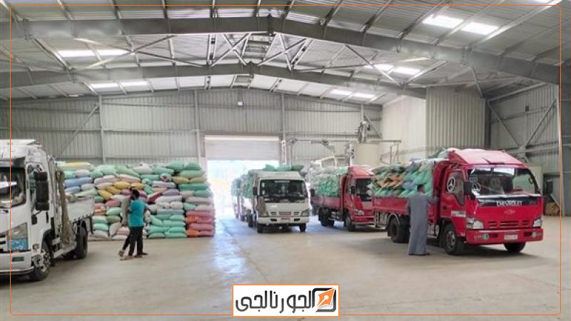 البنك الزراعي يبدأ استلام محصول القمح من المزارعين والموردين