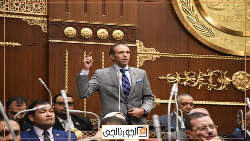 النائب محمد فريد عضو مجلس الشيوخ