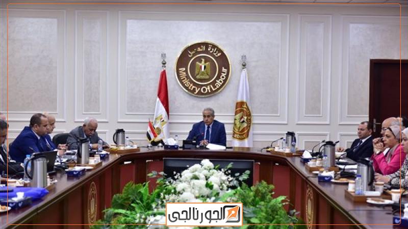 حسن شحاتة وزير العمل،فيتو