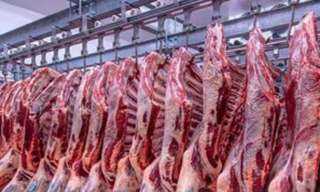 نقيب الجزارين يكشف سر تفاوت أسعار اللحوم