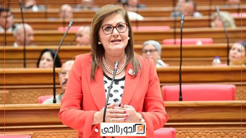 الدكتورة هالة السعيد وزيرة التخطيط،فيتو