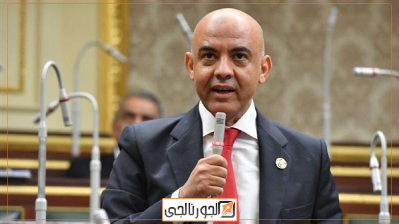النائب عمرو هندى