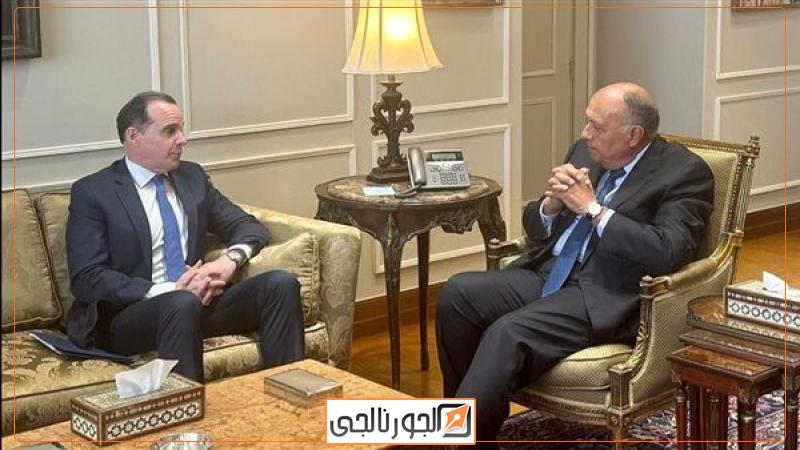 سامح شكرى وزير الخارجية