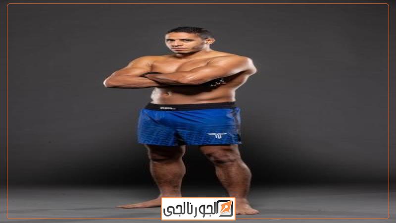 الجورنالجي