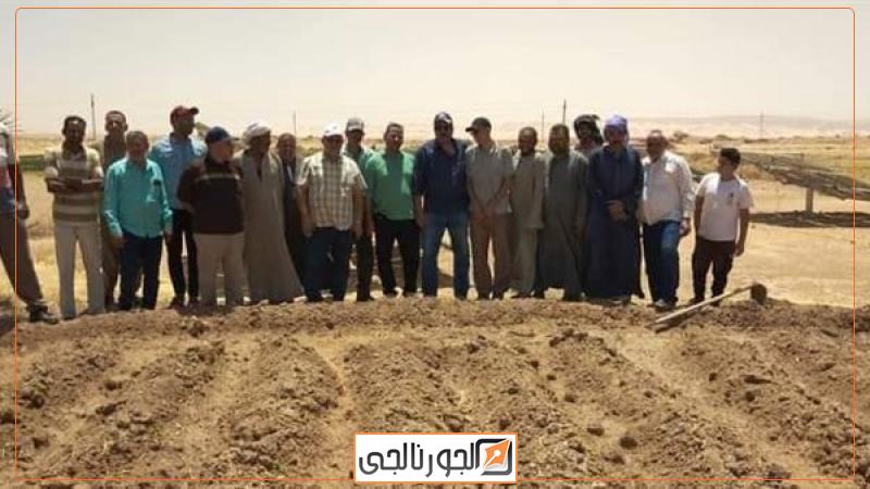 زراعة محصول القطن