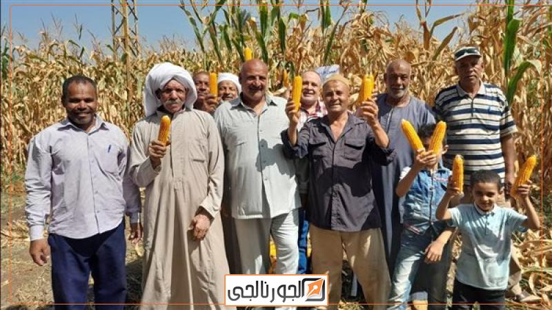 محصول الذرة
