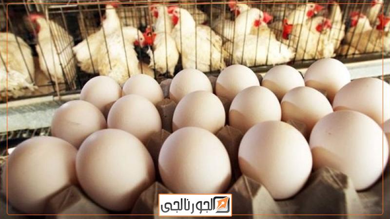 دواجن وبيض
