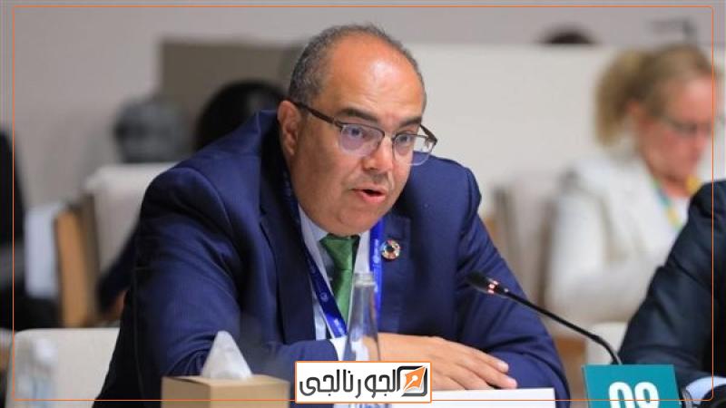 الدكتور محمود محيي الدين
