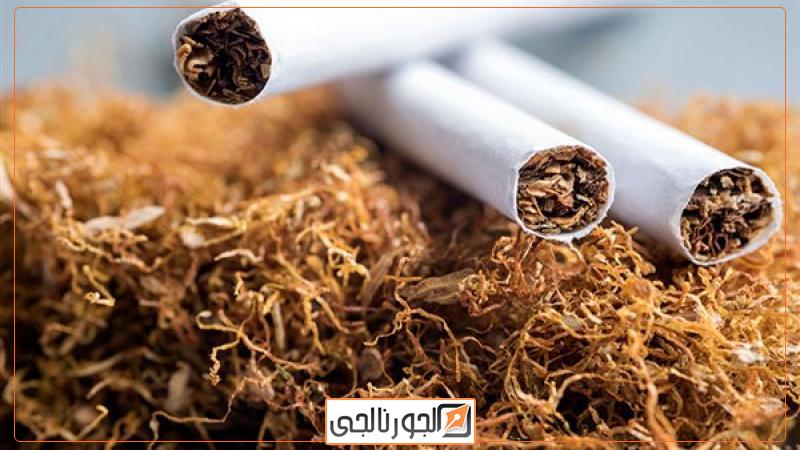التبغ