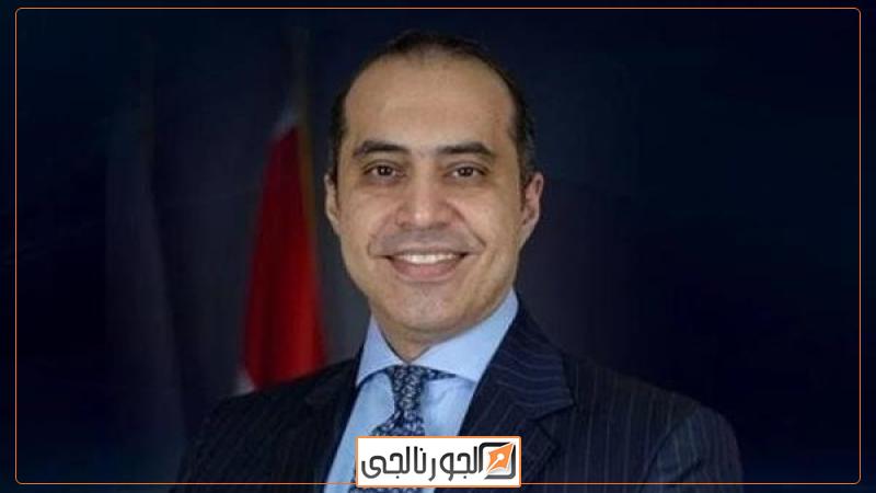 المستشار محمود فوزي