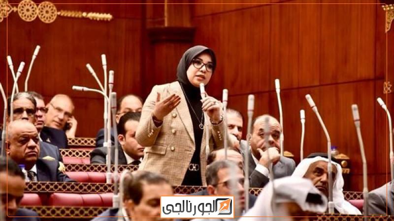 النائبة دينا هلالي