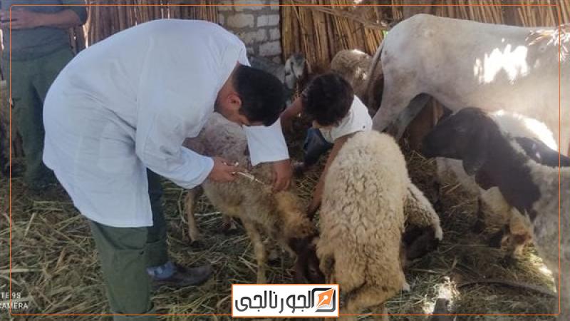 الخدمات البيطرية
