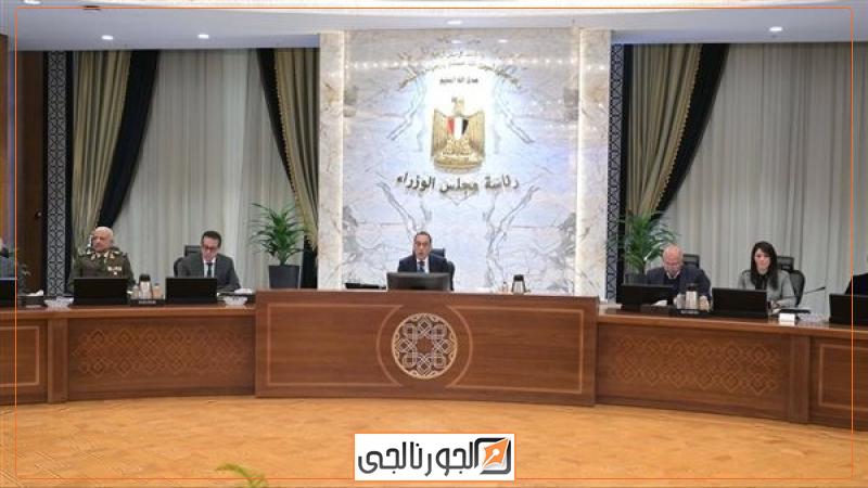 مصطفى مدبولي رئيس الوزراء, فيتو