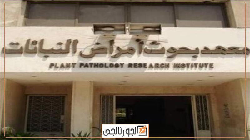 معهد بحوث أمراض النباتات