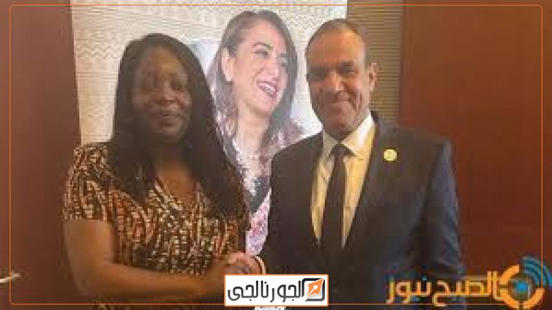 وزير الخارجية والهجرة بدر عبد العاطي