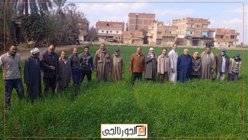 الجورنالجي
