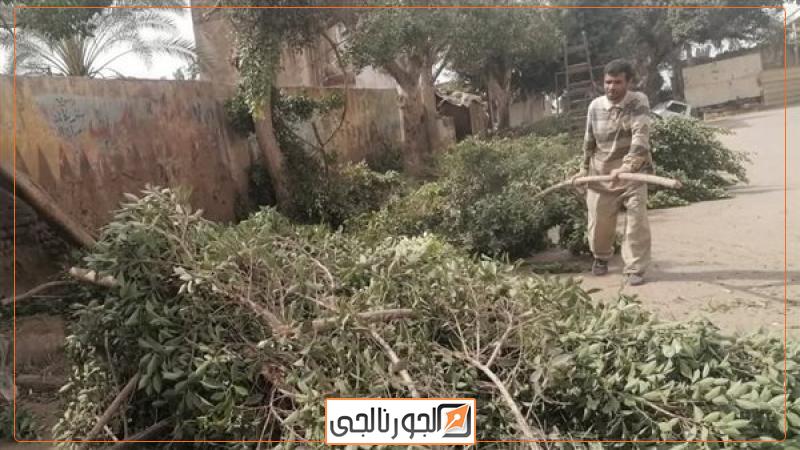 تحسين مستوى الخدمات بدسوق