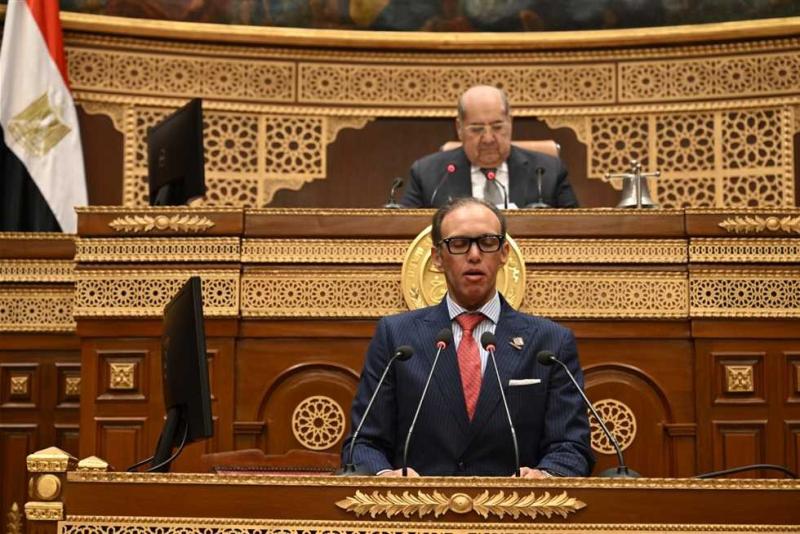 «الشيوخ» يناقش تسجيل العقارات.. و«فريد»: الأغلبية غير مسجلة حتى الآن