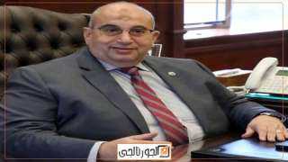 جمعية الخبراء:  تنمية الثروة الحيوانية تبدأ من التيسيرات الضريبية لمصانع الأعلاف