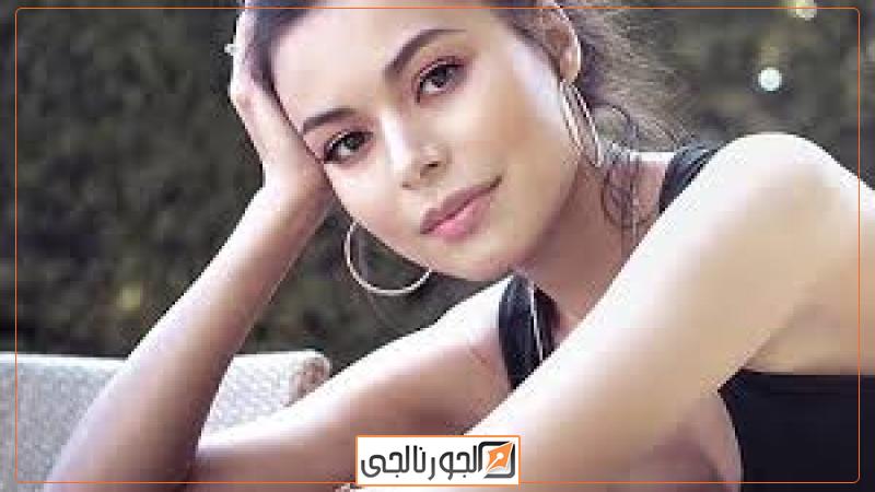 الجورنالجي