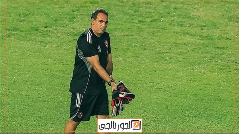 أمير عبد الحميد