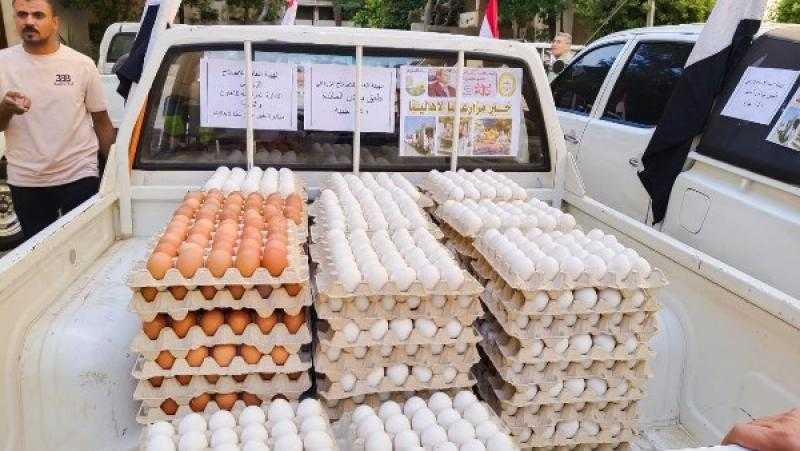 الزراعة: إطلاق 28 منفذاً متنقلا لبيع بيض المائدة بأسعار مخفضة