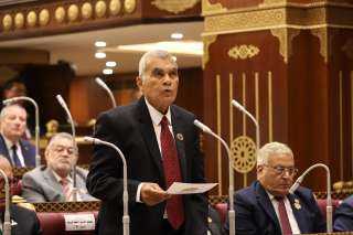رئيس الشيوخ: مصر قادت العالم نحو إنهاء الحرب في غزة.. والدستور أولى المجلس مهامَ سامية لدعم الديمقراطية