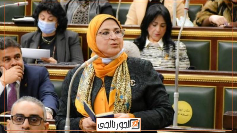 النائبة هناء سرور ، عضو لجنة الصحة بمجلس النواب