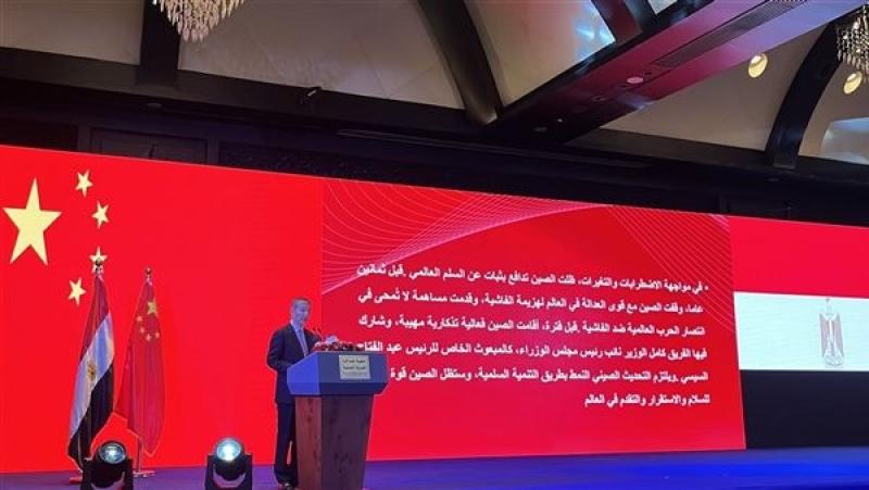 سفير الصين: القاهرة وبكين شريكان في ترسيخ الاستقرار وبناء نظام دولي أكثر توازنا