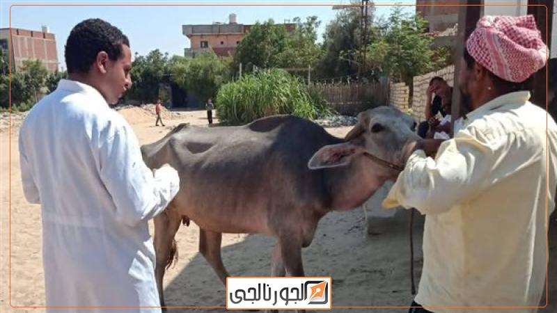 الثروة الحيوانية