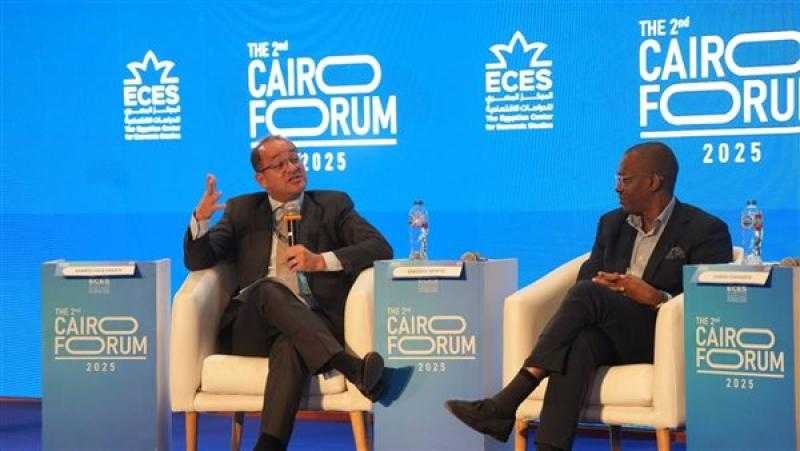 وزير المالية: شركات عالمية كبرى تتوسع فى مصر ولدينا قاعدة لوجستية تنافسية