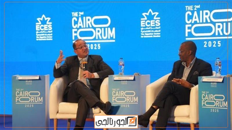 أحمد كجوك وزير المالية