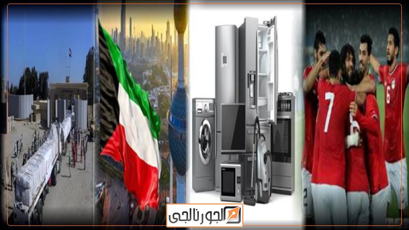 الدكتور وائل بدوي