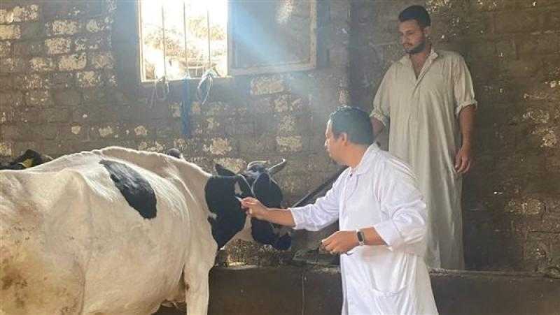 تحصين 6037 رأس ماشية للوقاية من الأمراض الوبائية بسوهاج